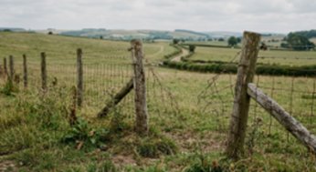 Agricultural Risk — condition illustration